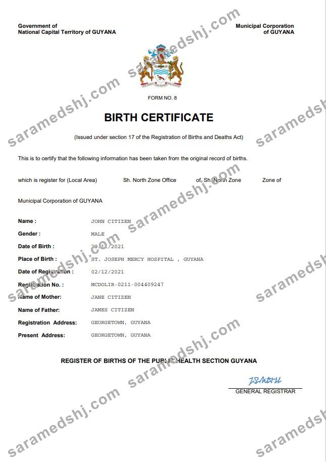 Guyana vital record birth certificate Word and PDF template
